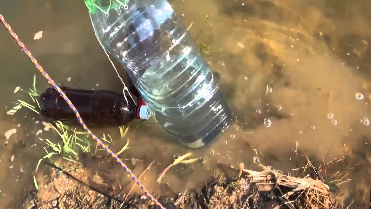 Раколовка из пластиковой бутылки своими руками: техника ловли