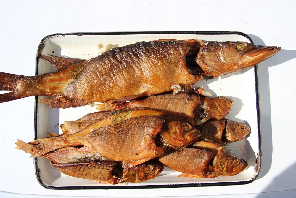 Копчение рыбы в домашних условиях в коптильне горячего копчения: как закоптить, рецепт