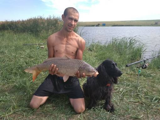 Платная рыбалка в москве: где и какую рыбу можно ловить за деньги