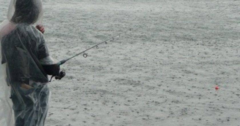 Рекомендации рыбной ловли в дождь