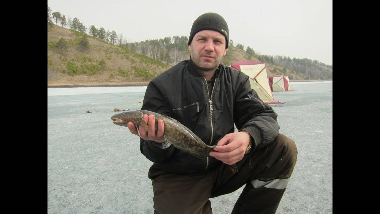 Душевная рыбалка в заливе Огур Балахтинского района
