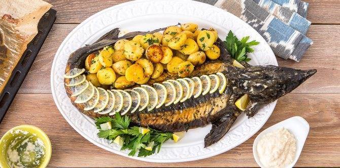 Рецепты приготовления стерляди: как приготовить быстро и вкусно, блюда в домашних условиях