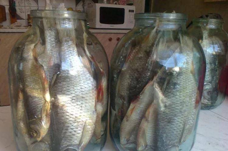 Как вялить рыбу в домашних условиях осенью, зимой и летом: рецепт как правильно засолить, где лучше сушить, сколько дней должна вялиться и при какой температуре