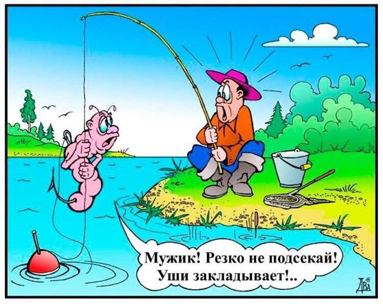 Смешные стихи про рыбаков | шмяндекс.ру