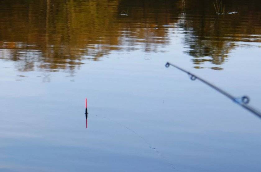 Осенняя ловля на поплавок. рыбалка осенью с поплавочной снастью