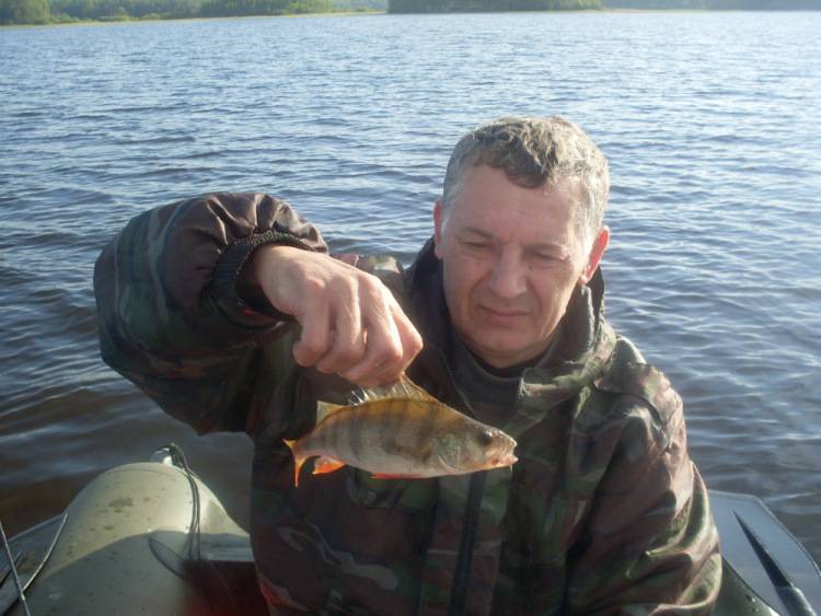 Рыбалка всеволожского района