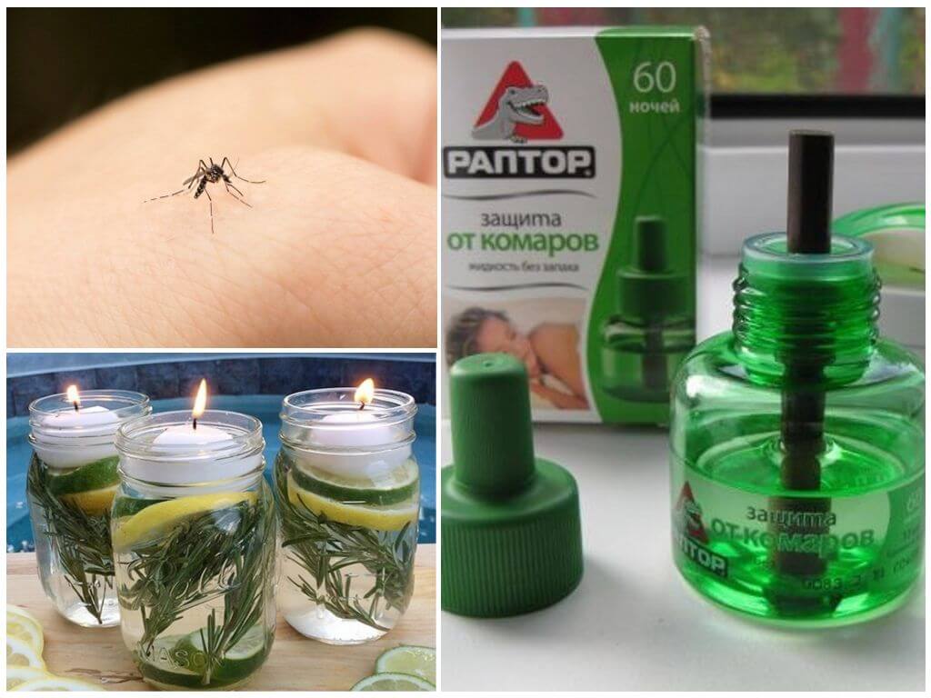 Народные средства от комаров: как отпугнуть насекомых
