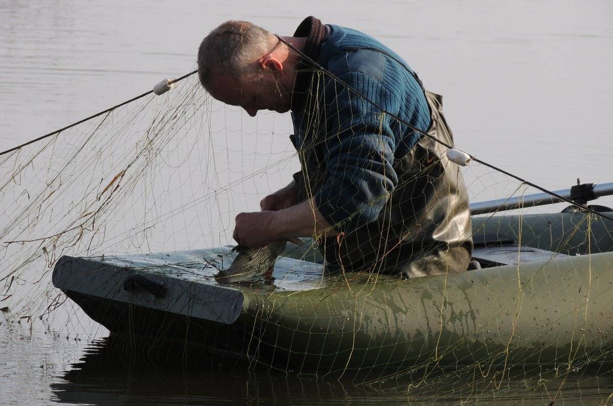 Рыболовные сети, разрешенная рыбалка сетями