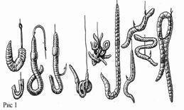 Как насадить червя на крючок и сделать это правильно? насадка на карася, леща, карпа и силиконового червя
