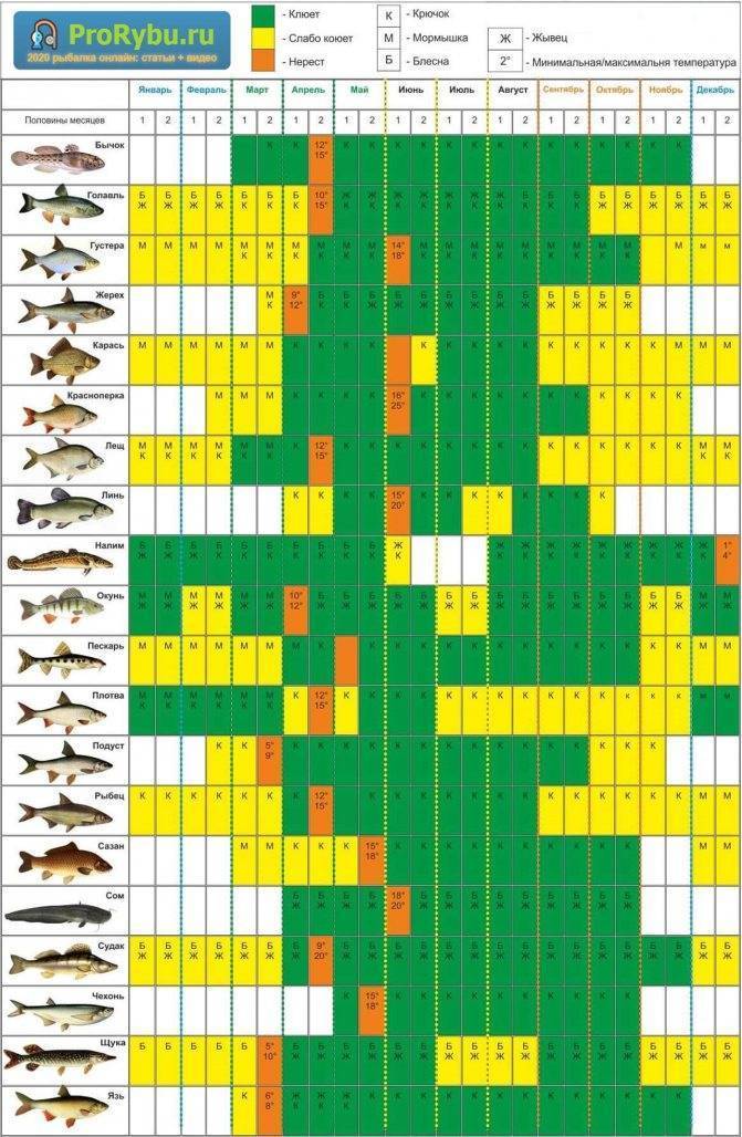 Лунный календарь рыболова на октябрь 2020 – клев мирной и хищной рыбы!
