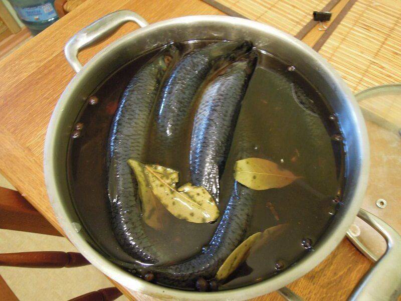 5 вкусных рецептов засолки рыбы в домашних условиях
