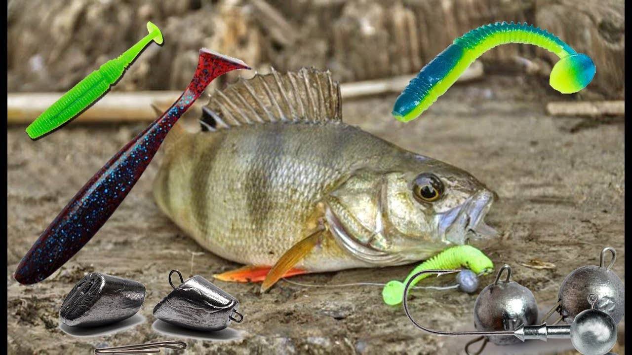 Летняя рыбалка – ловля окуня – советы рыболову
