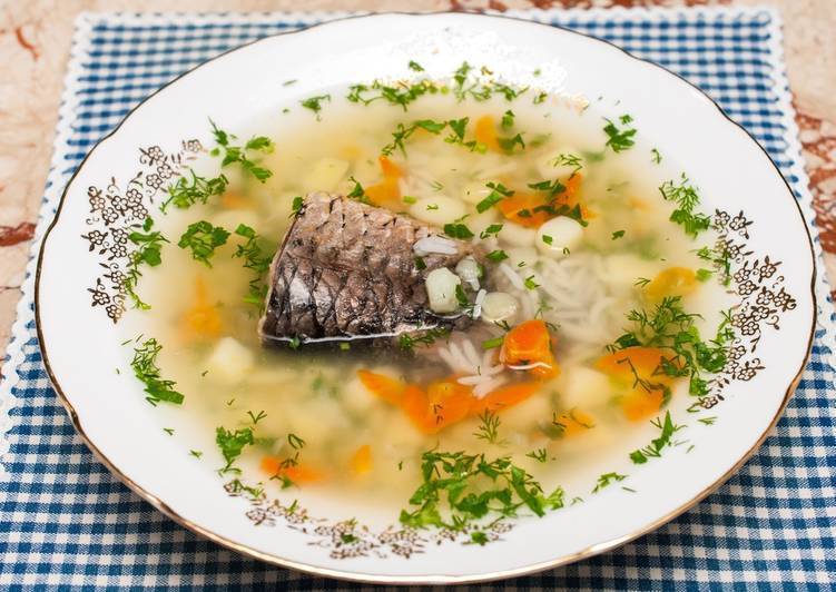 Суп из морского окуня: классический пошаговый рецепт приготовления