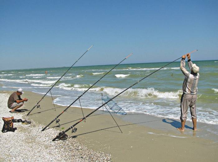 Рыбалка на черном море с берега: какая рыба водится, на что лучше ловить