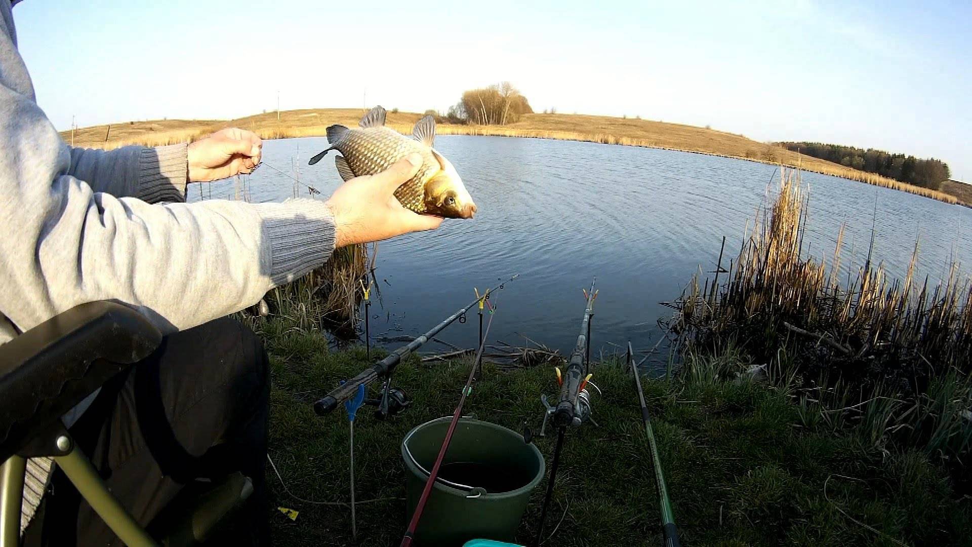 Лучшие методы ловли карася весной – особенности и хитрости - на рыбалке!