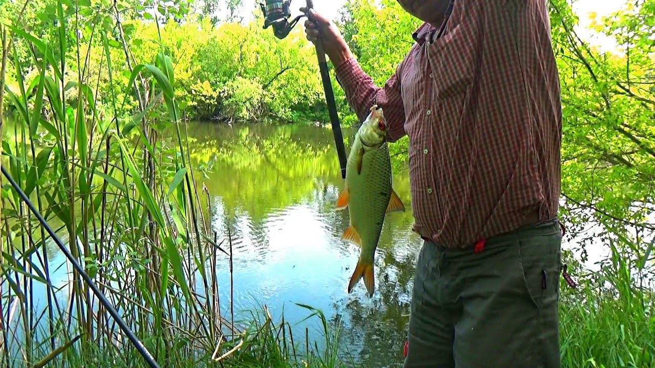 Ловля в проводку на течении: как ловить на реке, удочка для рыбалки