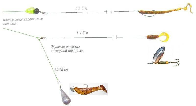 Ловля судака на отводной поводок: все тонкости и особенности ужения