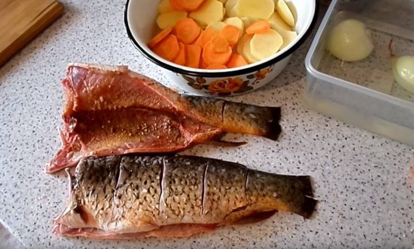 Рецепты сазан в духовке: способы подготовить и вкусно запечь сазана