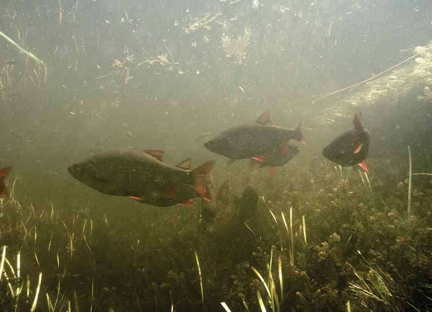 Рыбалка весной в мутной воде на речке — особенности и секреты ловли
