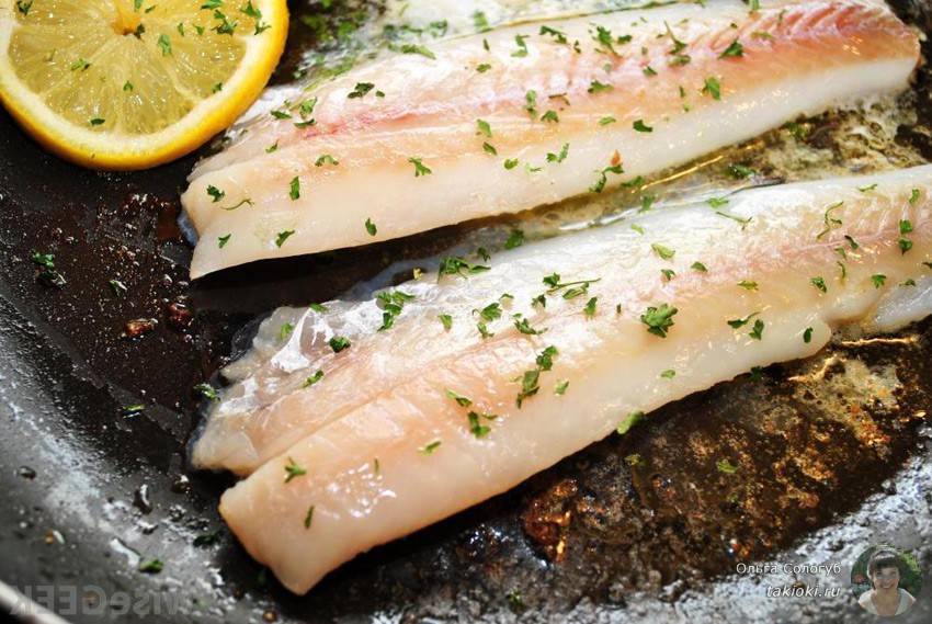Что за рыба сайда, что можно из нее можно приготовить простое и вкусное?