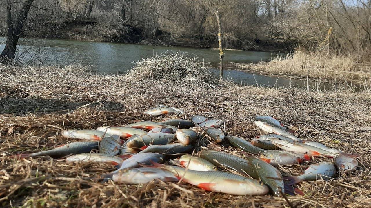 Рыбалка в половодье на реке весной
