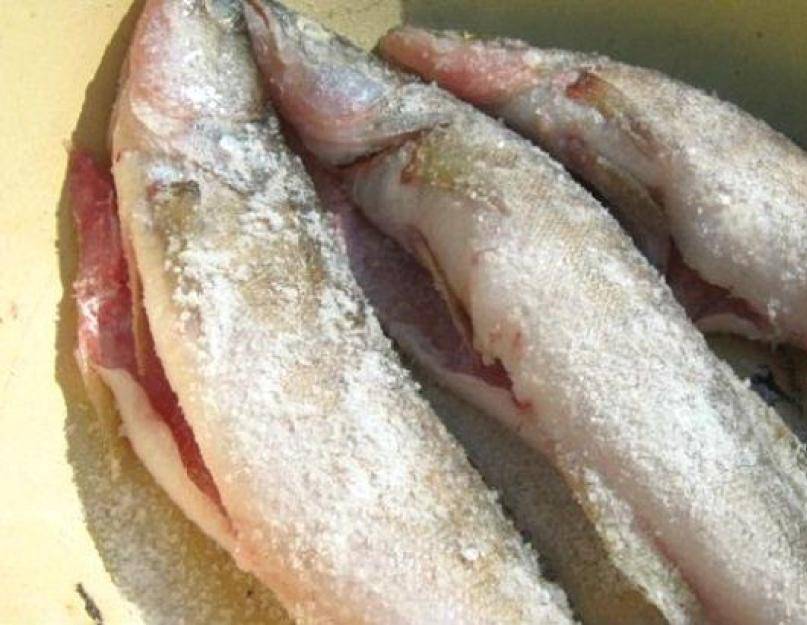 Как вялить рыбу в домашних условиях: рецепты засолки, калорийность, сколько нужно завяливать по времени