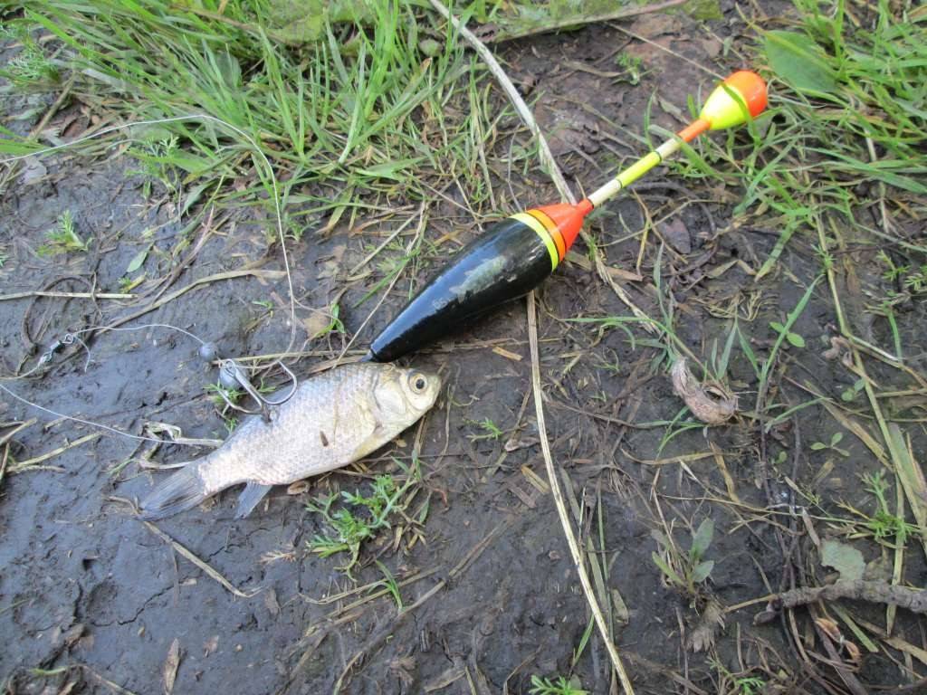 Ловля щуки на поплавочную удочку с живцом: подготовка снасти
