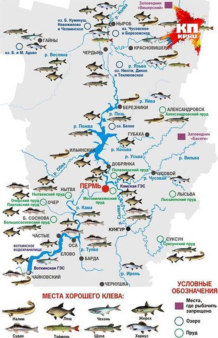 Рыбалка в тамбовской области: куда поехать, карта водоемов, где лучше ловится рыба
