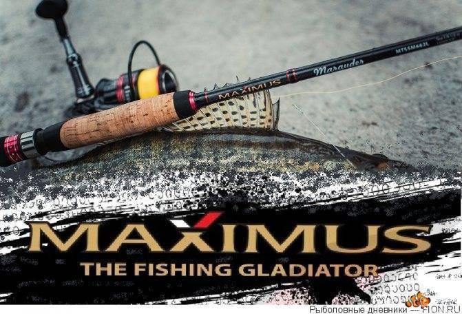 Спиннинг maximus legend-x: особенности, обзор моделей, цены, отзывы рыбаков