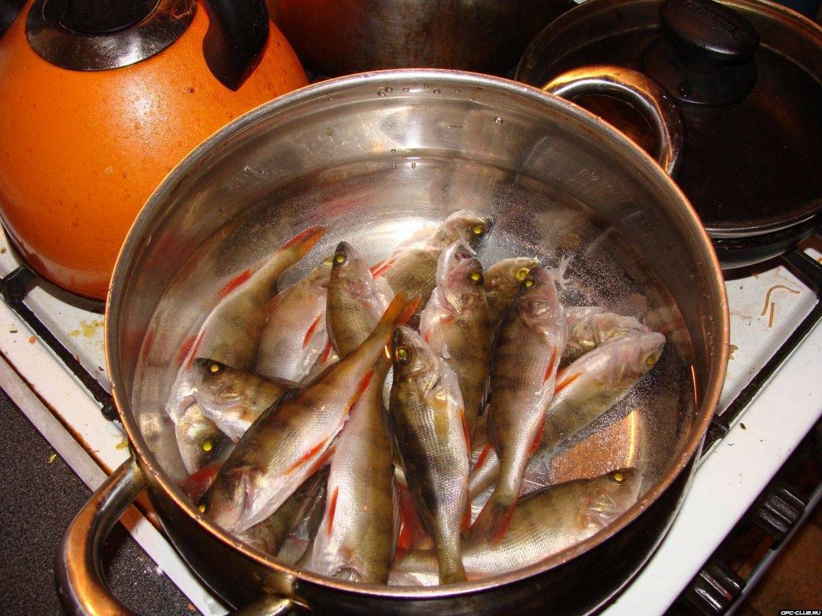Уха из речной рыбы / рыбные супы / tvcook: пошаговые рецепты с фото