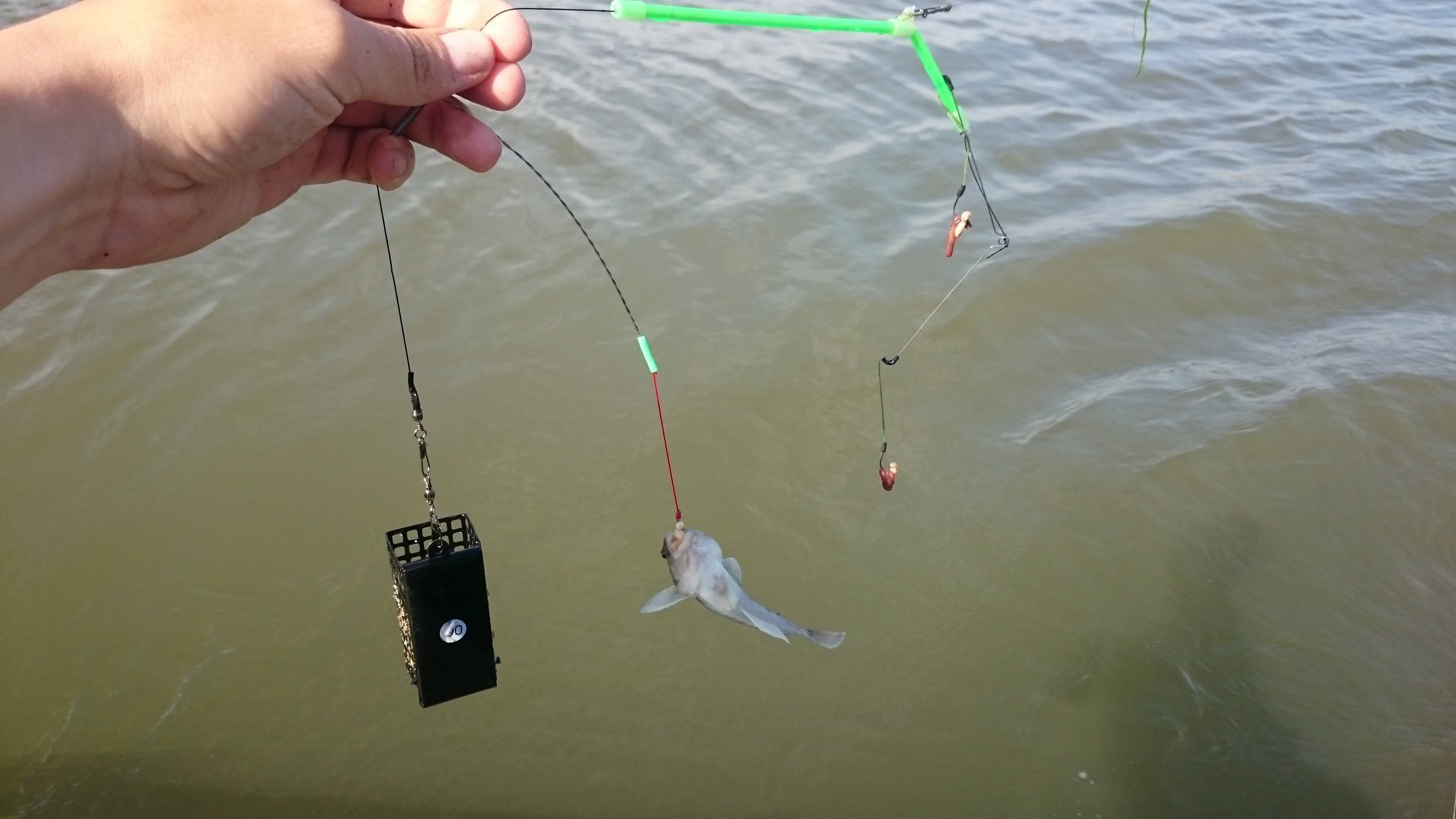 Оснастки для ловли сома с берега и с лодки: фото и видео