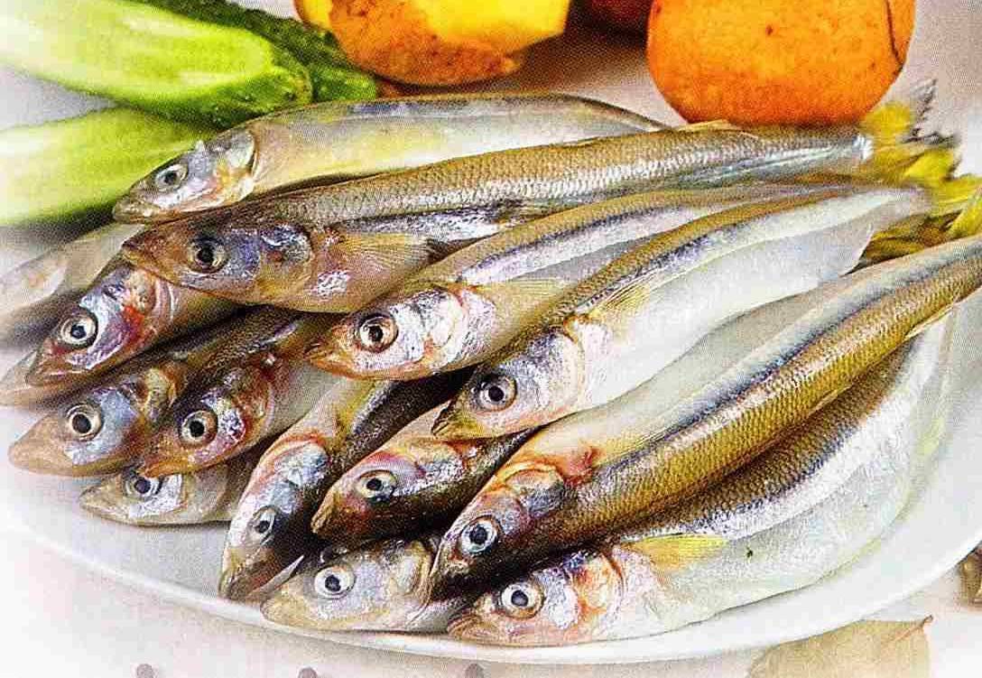 Рыба корюшка: описание разновидностей, где водится и чем питается, особенности рыбалки
