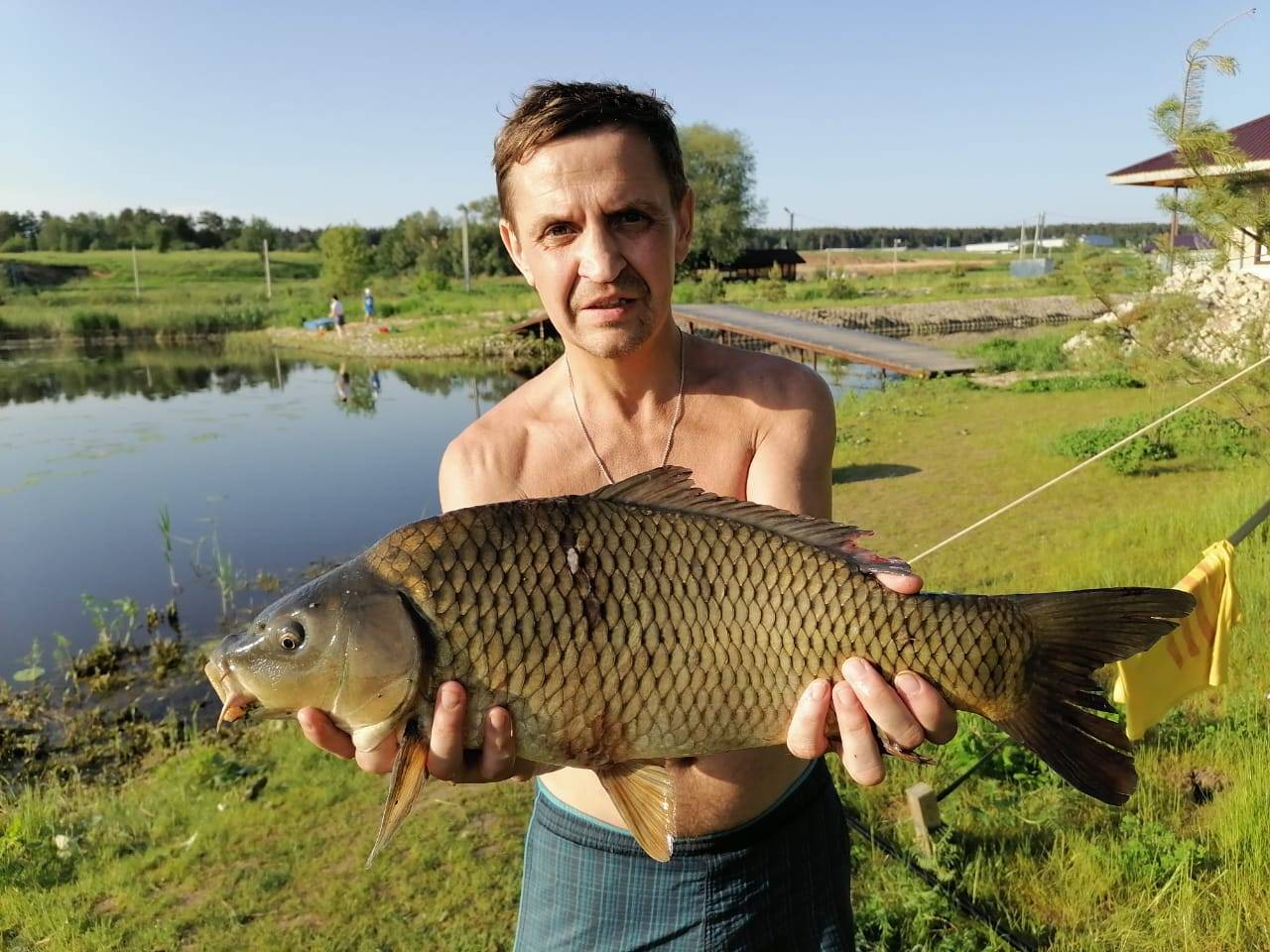 15 лучших рыболовных мест псковской области. бесплатные и платные | животный мир