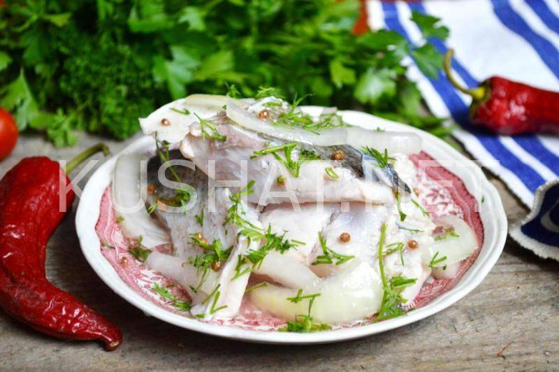 Толстолобик маринованный в уксусе с маслом. моя стратегическая закуска к новогоднему столу — маринованный толстолобик. гости с руками отрывают