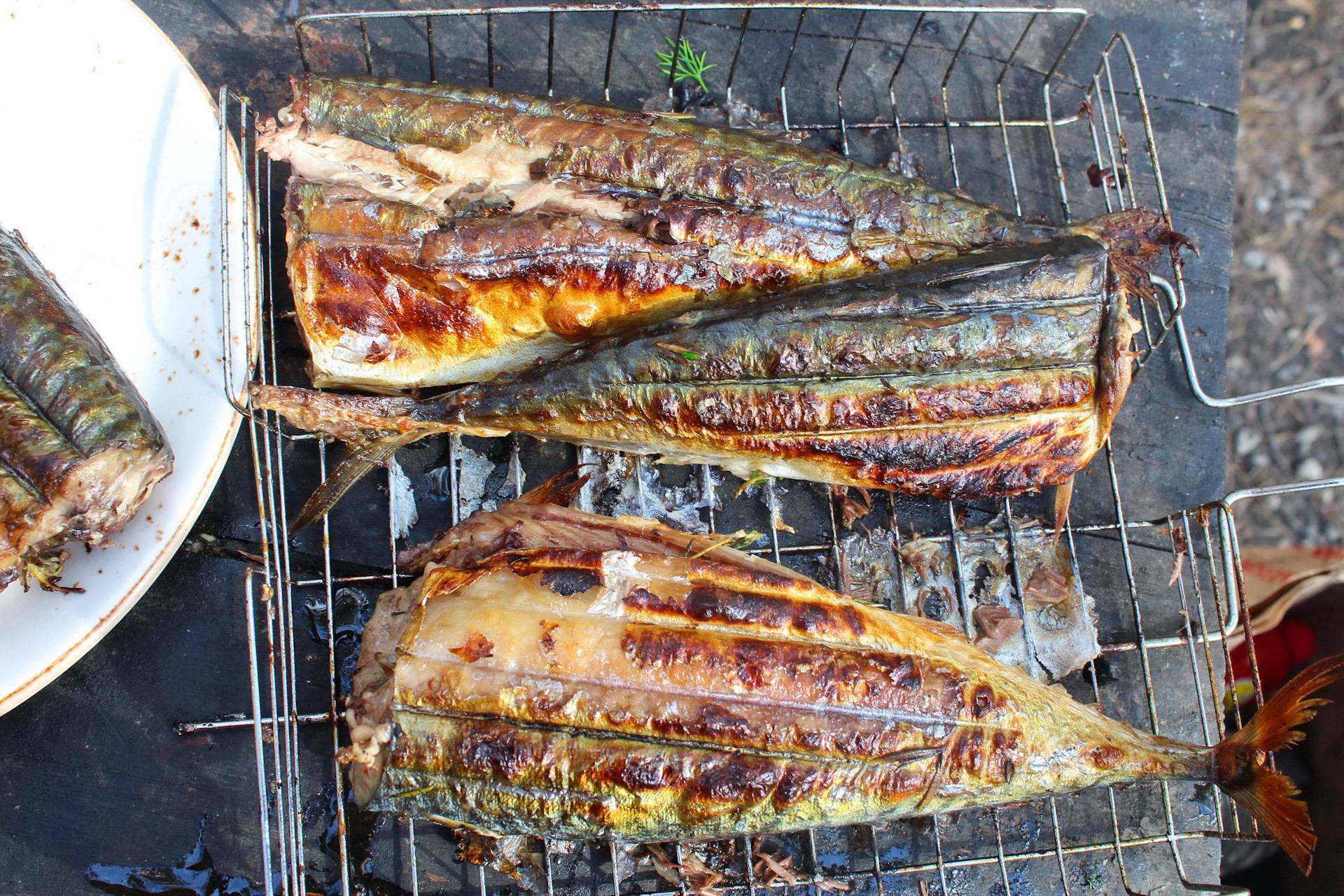 Шашлык из рыбы - рецепты на мангале и в духовке. как замариновать речную и красную рыбу для шашлыка?