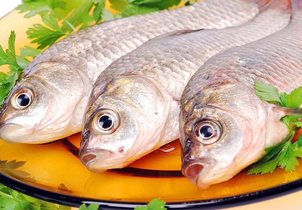 Карп: что за рыба, калорийность и рецепты