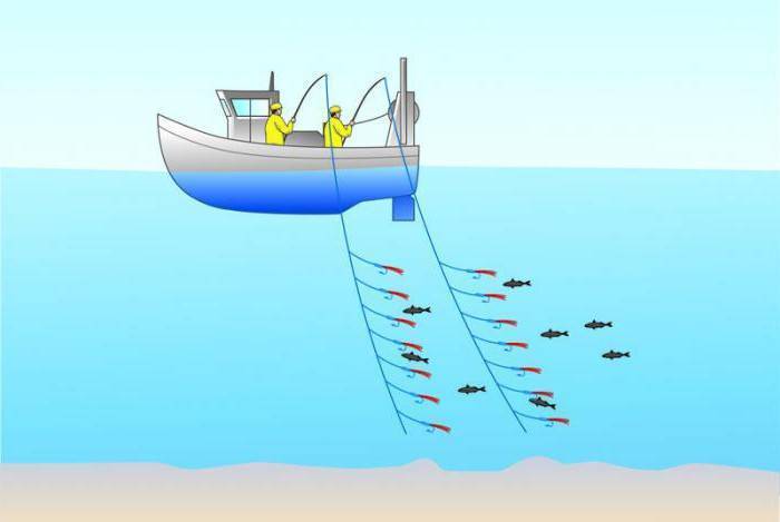 Особенности рыбалки на кольцо с лодки