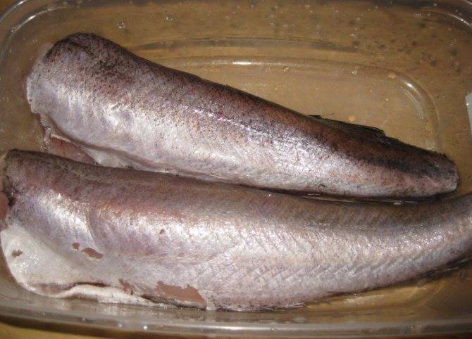 Макрурус – что за рыба, 7 рецептов приготовления - rus-womens