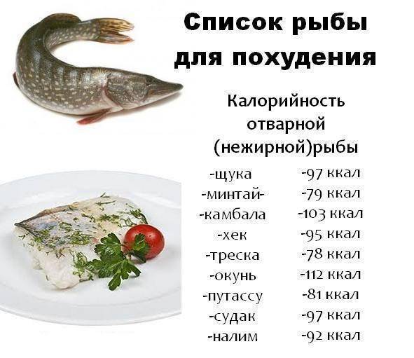 Нежирная рыба для диеты: список сортов красной и белой