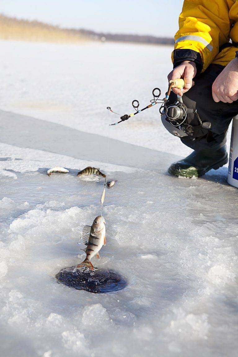 Зимняя рыбалка – ловля рыбы зимой. секреты и полезные советы