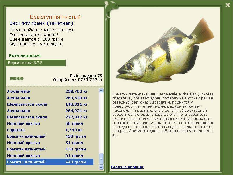 Аквариумные рыбки: 1100 видов с названиями, фото и описанием