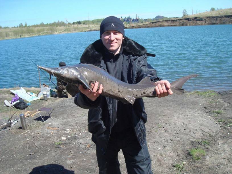Платная рыбалка в кемеровской области —обзор водоемов, услуги и цены