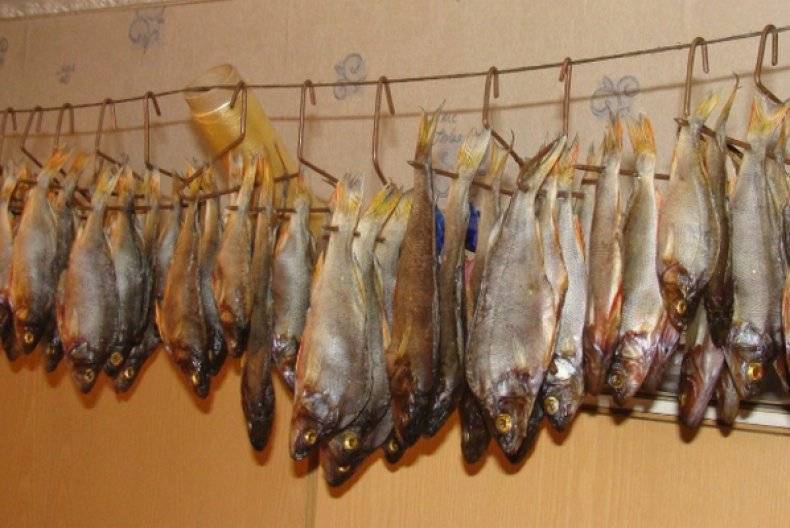 Как вялить рыбу в домашних условиях правильно: рецепт; температура