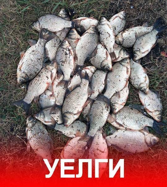 10 лучших мест для рыбалки в челябинской области