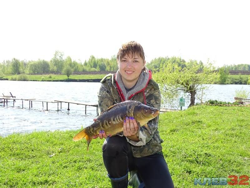 Рыбалка в орловской области и орле: платная и бесплатная ловля рыбы