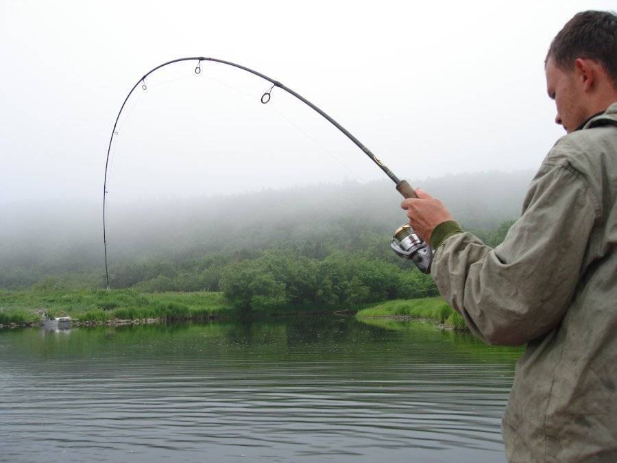 Как узнать когда рыба клюёт и как делать подсечку | рыбак рыбака видит издалека