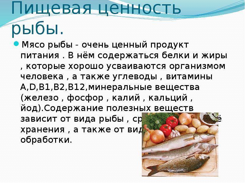 Рыба пикша: полезные свойства и вред | польза и вред