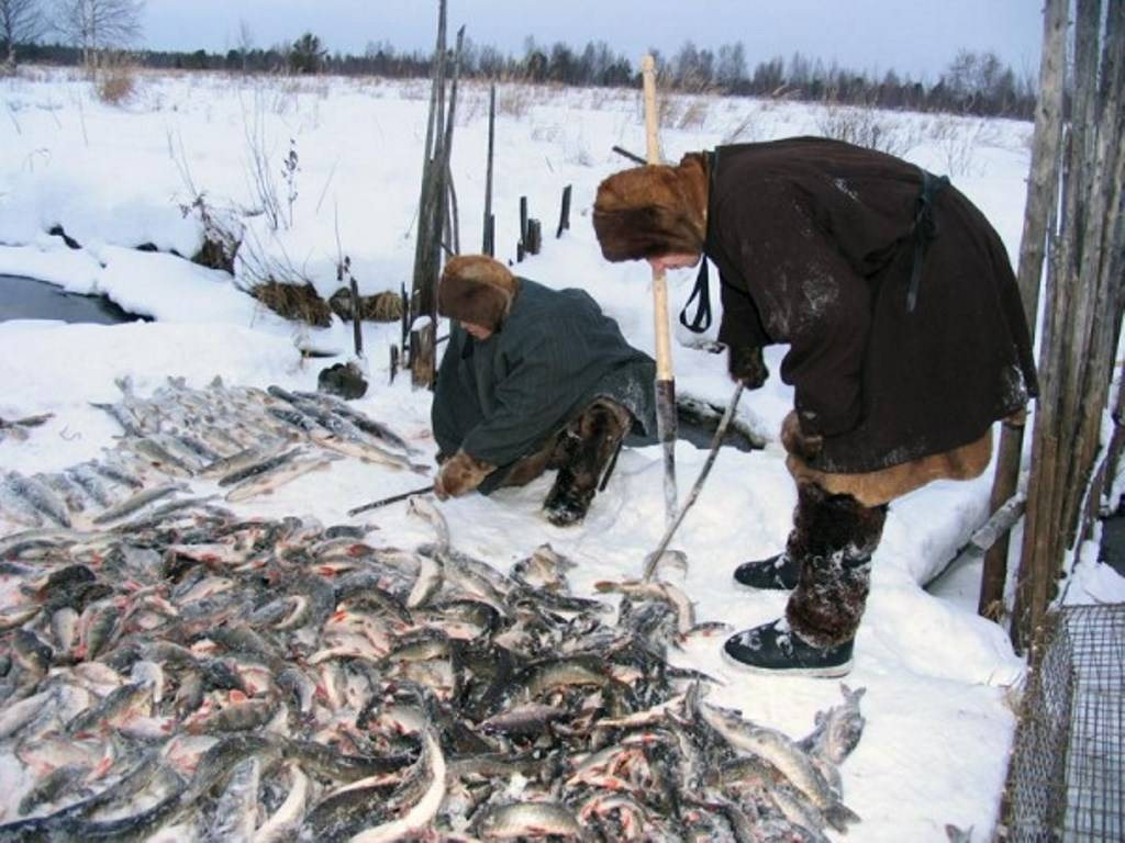 Рыбалка в ненецком автономном округе: лучшие места на карте топ-10