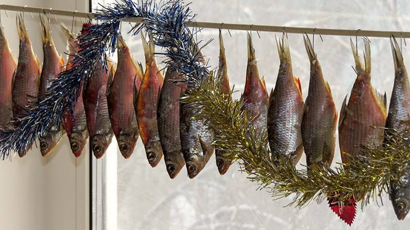 Как солить леща: (приготовление безопасной вяленой рыбы и икры)