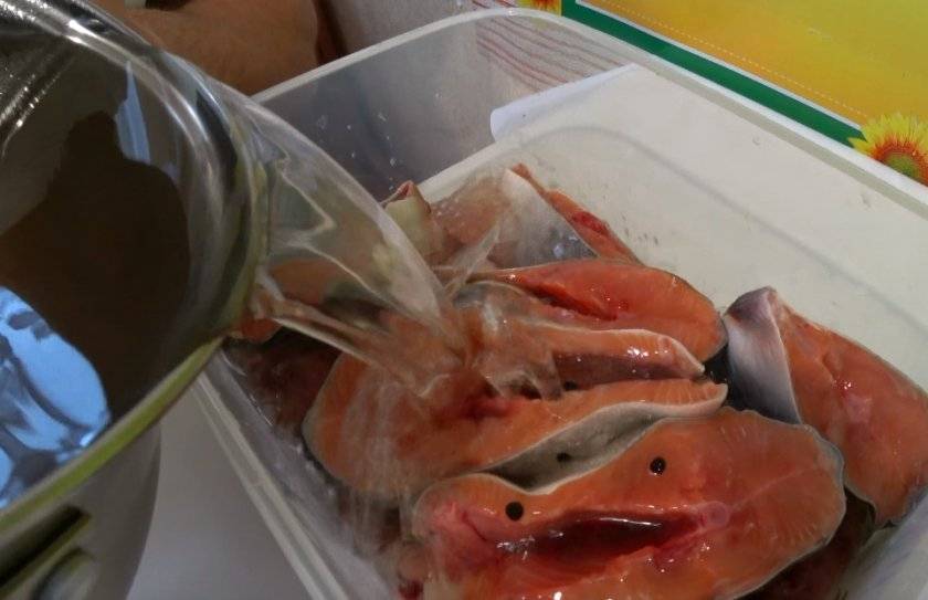 Правила и способы хранения соленой красной рыбы